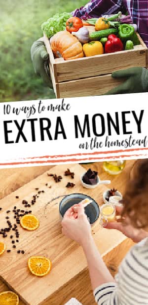 extra income on the homestead