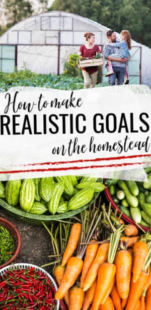 realistic goals on the homestead