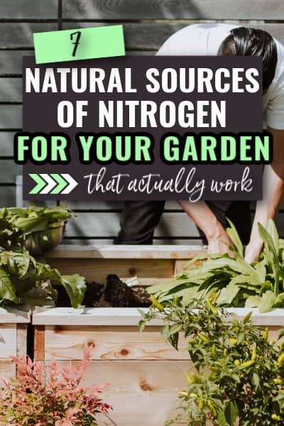 7 Natural Sources Of Nitrogen For Your Garden Grow Where You Sow 